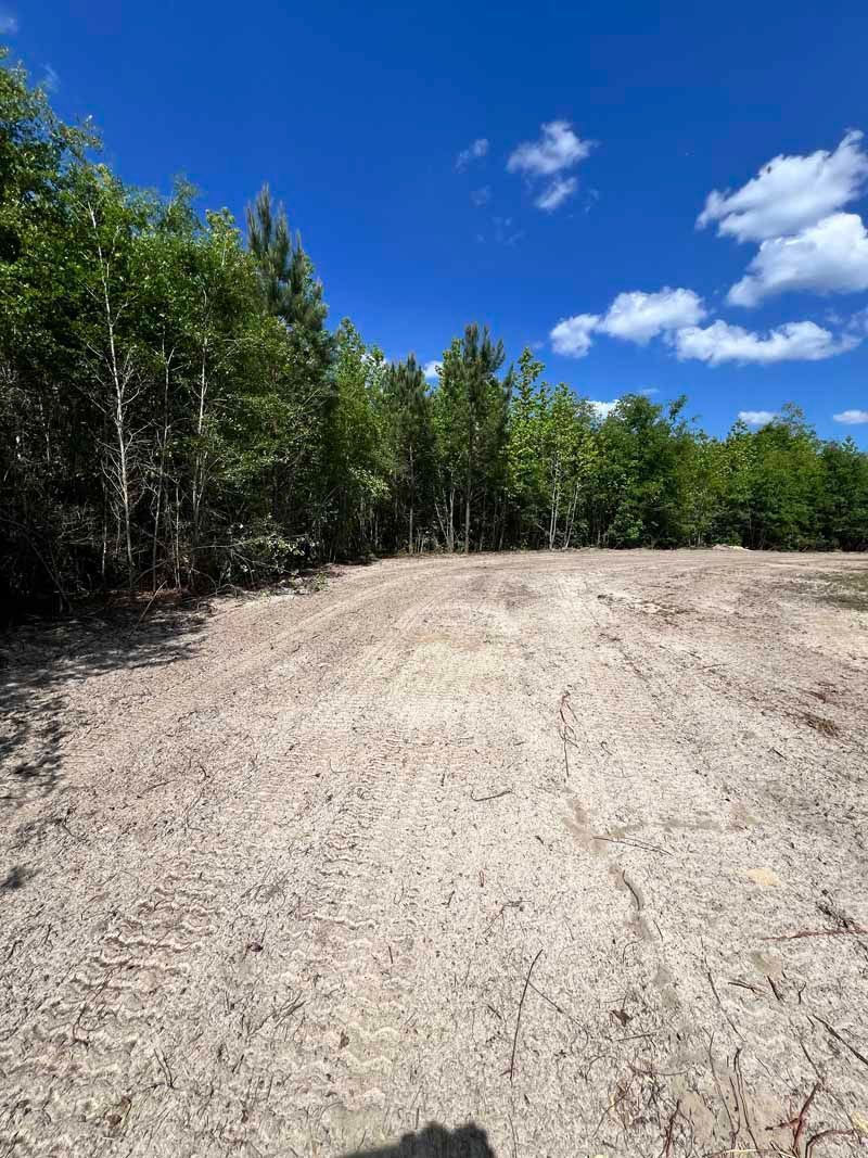 Sandy dirt road clearing beside green trees under a bright blue sky with clouds