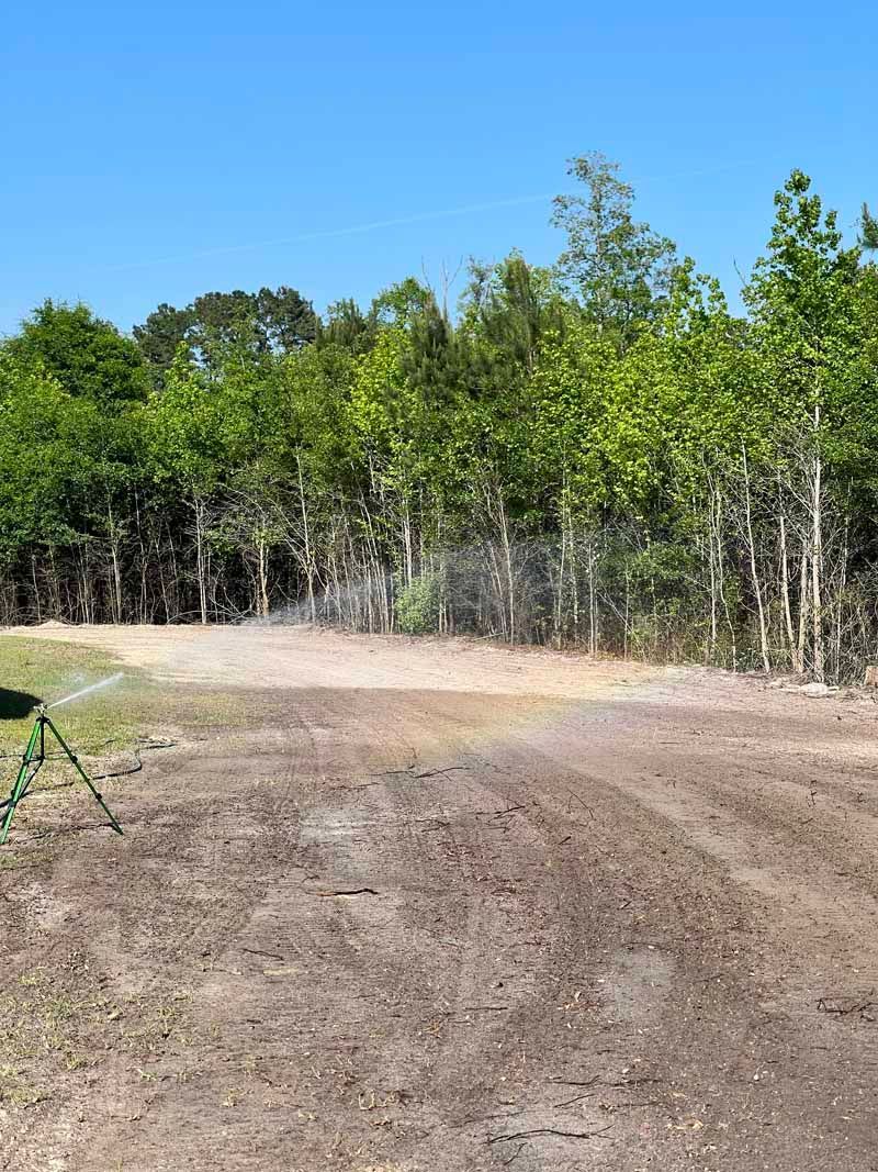 Dirt road curving beside a green forest under a clear blue sky