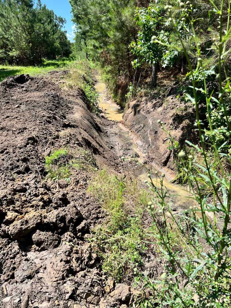 Rutted dirt path cutting through muddy banks and green vegetation in a rural area