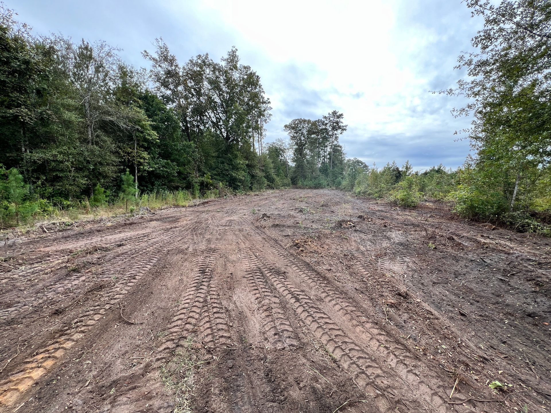 Mud road under construction through a wooded area under a cloudy sky