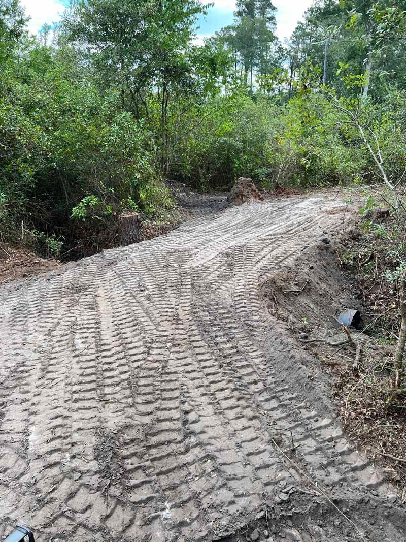 Freshly graded dirt road curving through dense green brush and trees