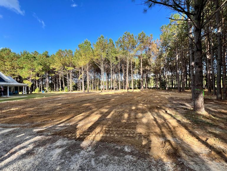 Cleared dirt lot beside a wooded area under a bright blue sky, with long tree shadows.