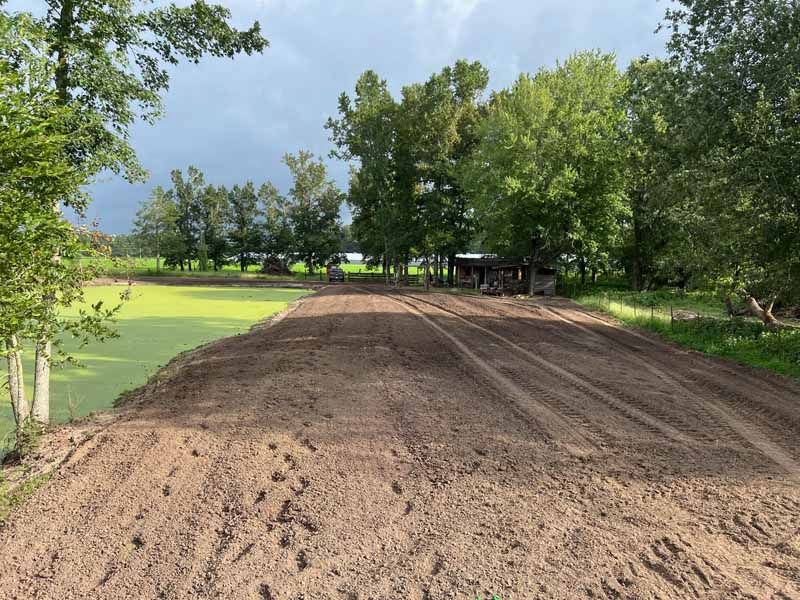 Freshly tilled dirt path beside a grassy golf course, lined with trees under a bright sky