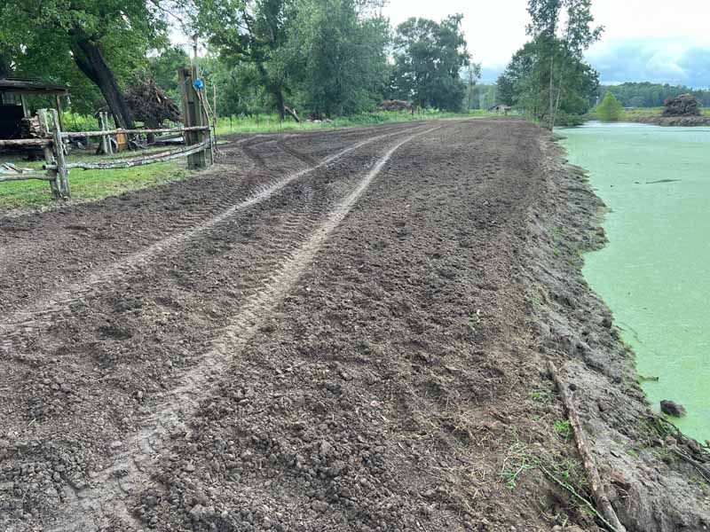 Mud-covered embankment beside green water with tire tracks and trees in the background