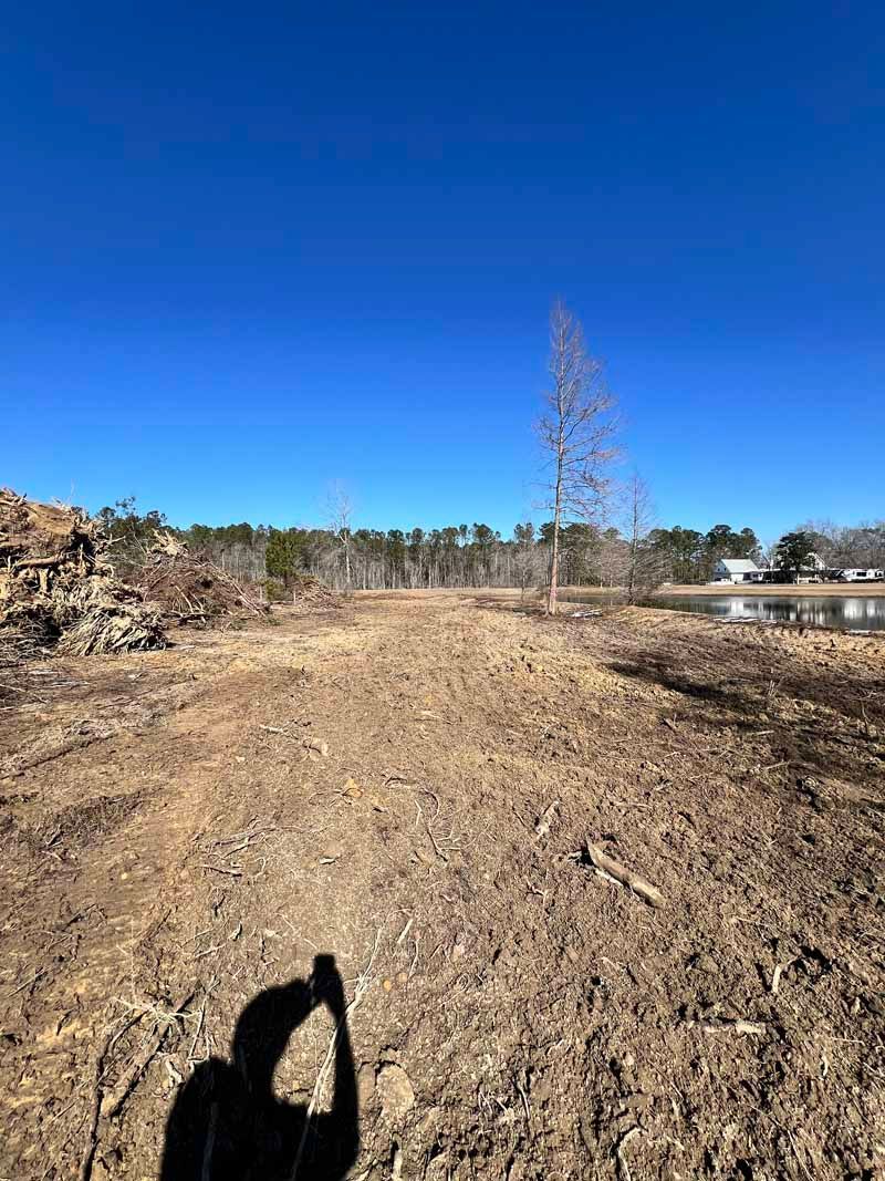 Dirt path through a cleared field under a bright blue sky, with a lone tree near the center.