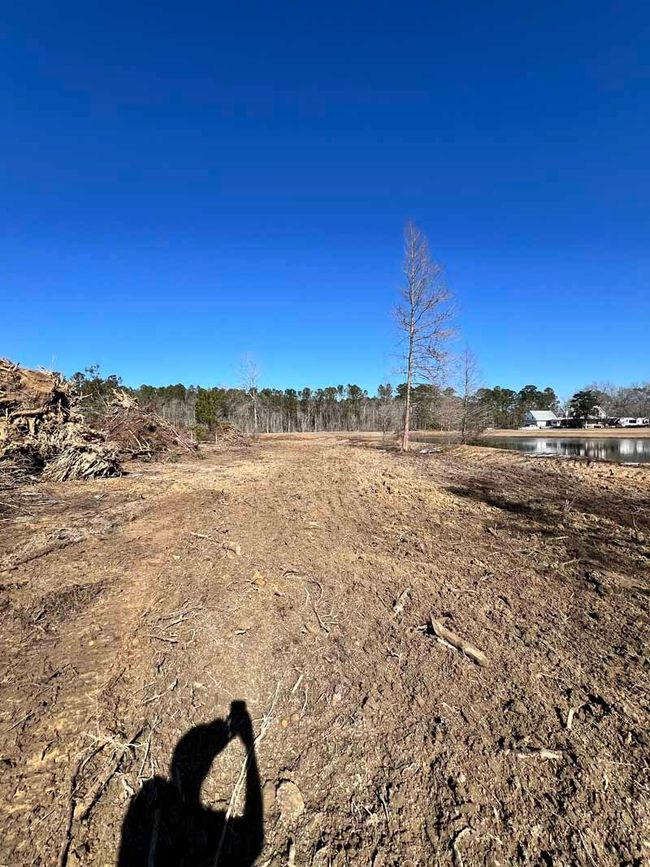 Dirt path through a cleared field under a clear blue sky, with a lone tree and distant water.