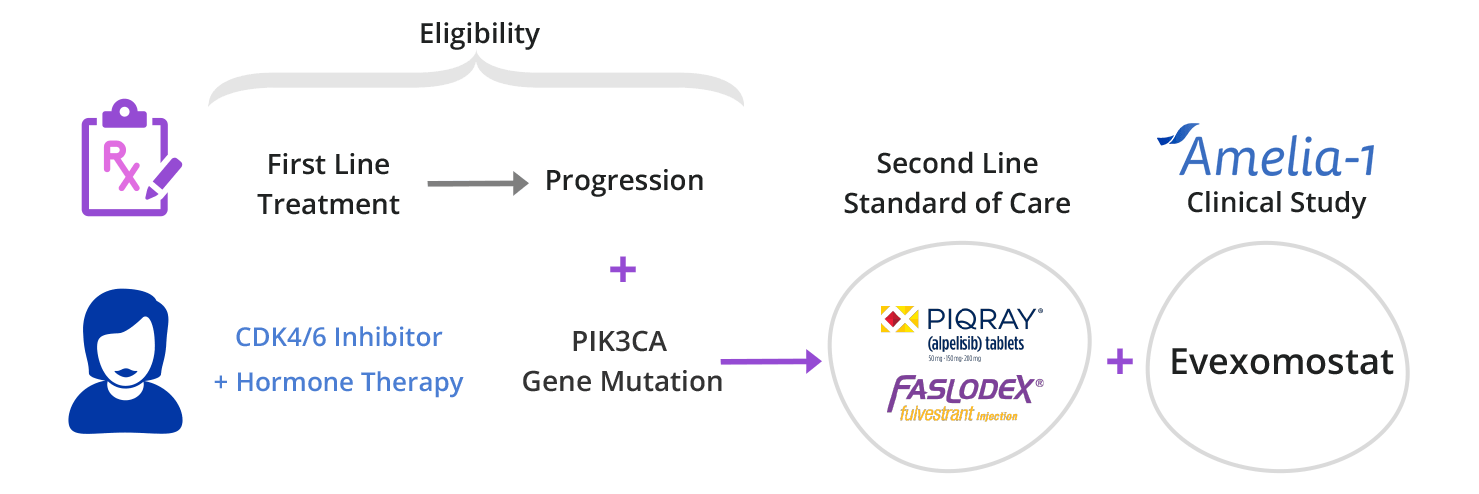 Patient Trial Eligibility Graphic