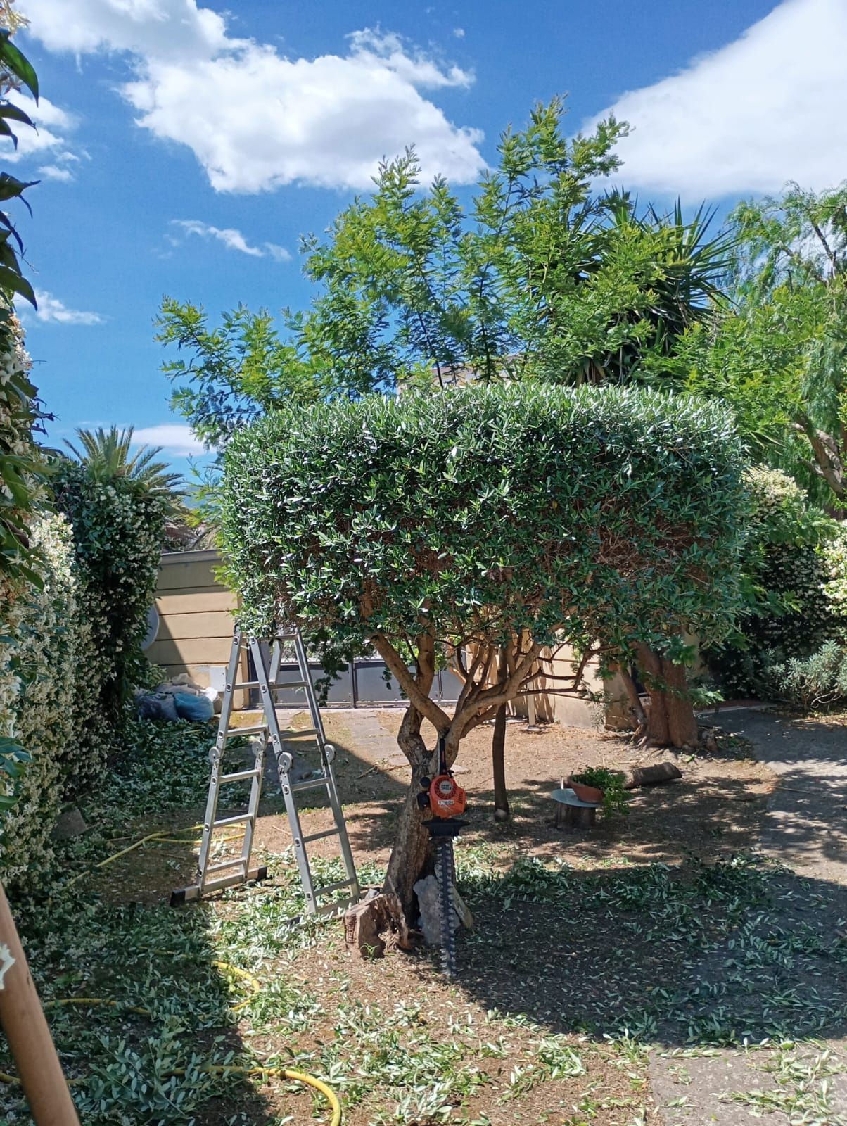 cura giardini
