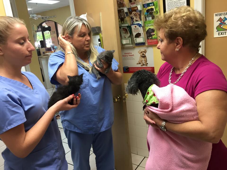 A woman in a pink shirt is holding a dog and a kitten.