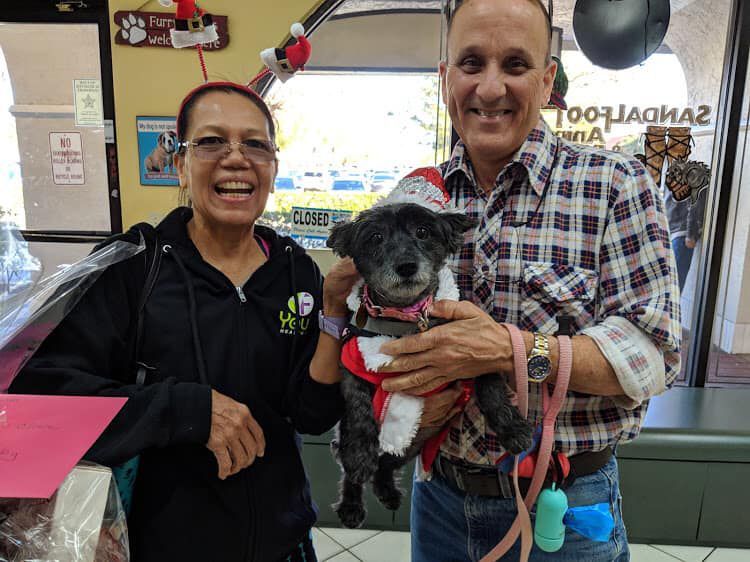 A man and woman are holding a small dog in a christmas outfit.