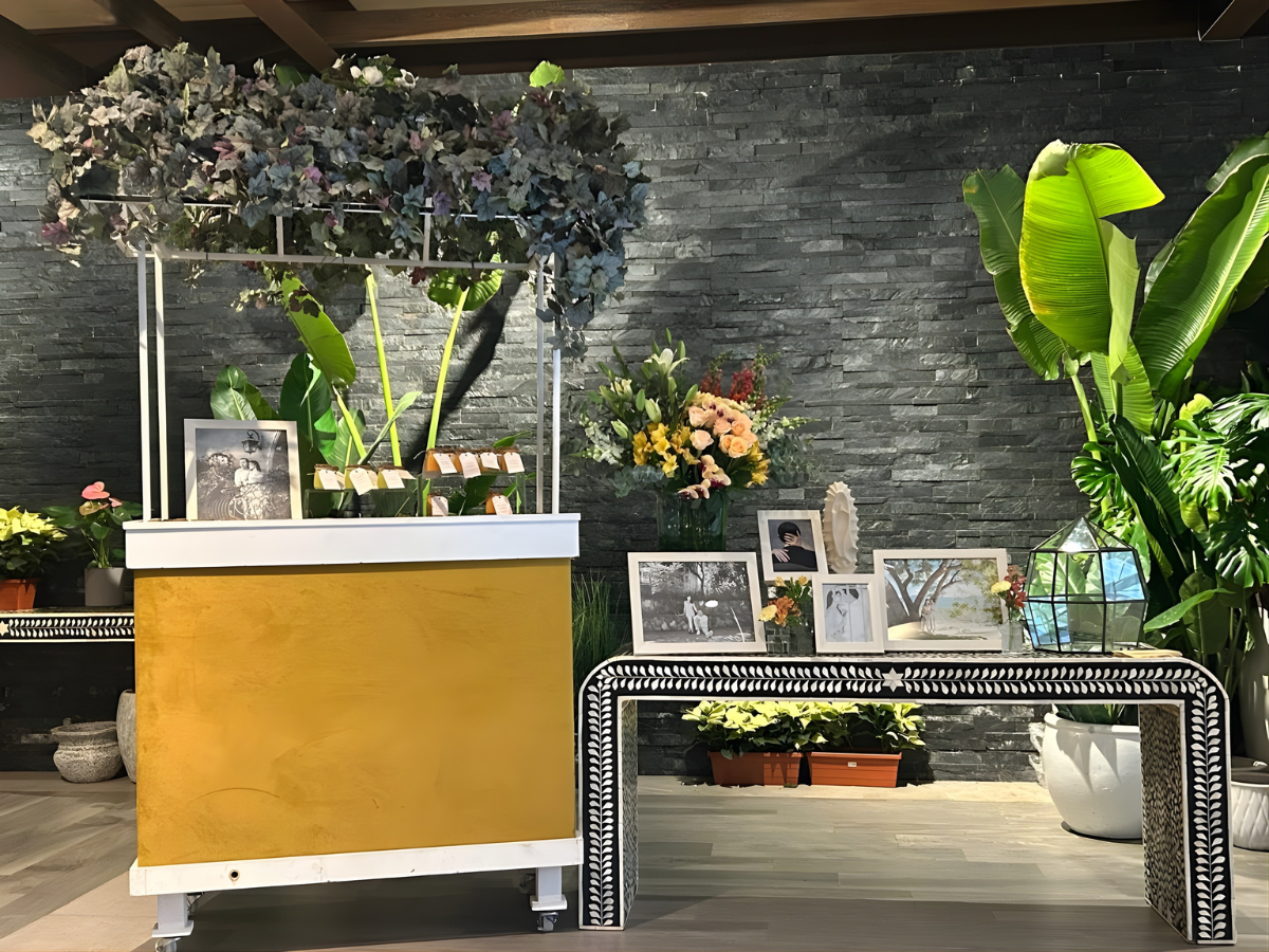 Exhibición de plantas de interior con mostrador, pared de piedra negra y plantas en macetas sobre un banco decorativo.