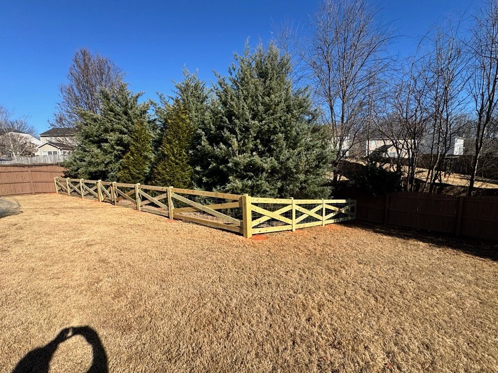 A wooden fence surrounds a yard with dry grass and evergreen trees, under a blue sky.