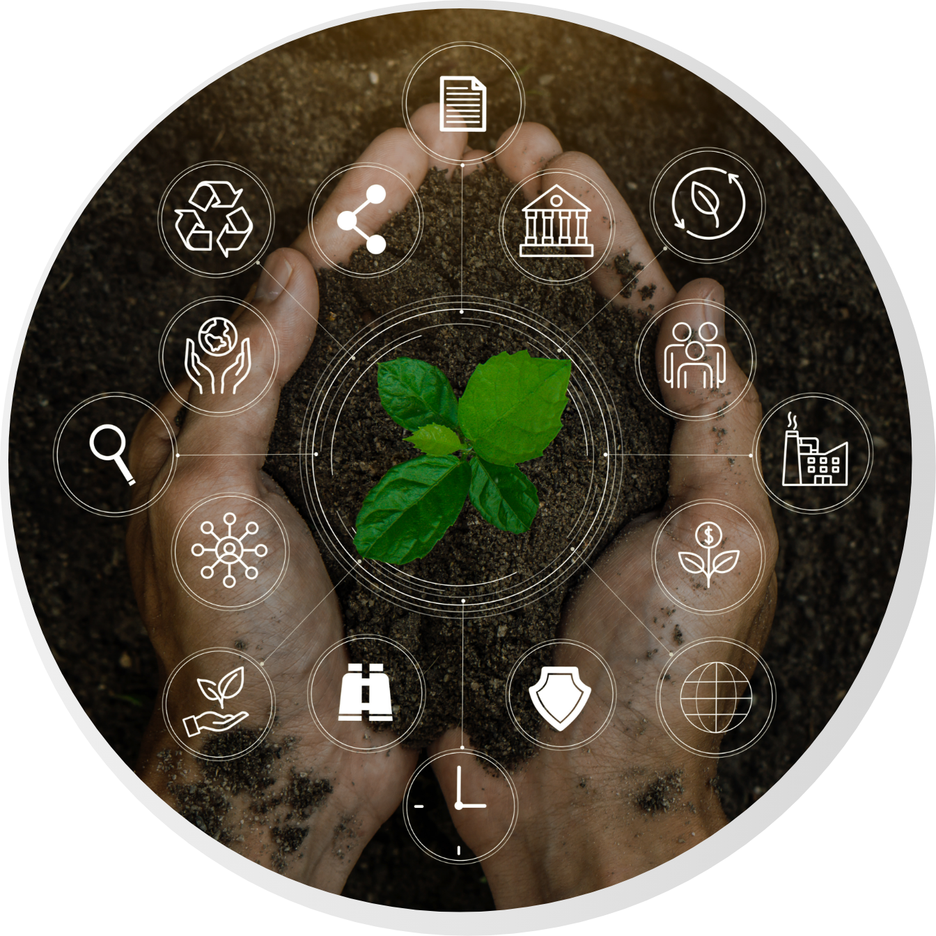 Mãos segurando uma planta, cercadas por ícones que representam sustentabilidade e crescimento.