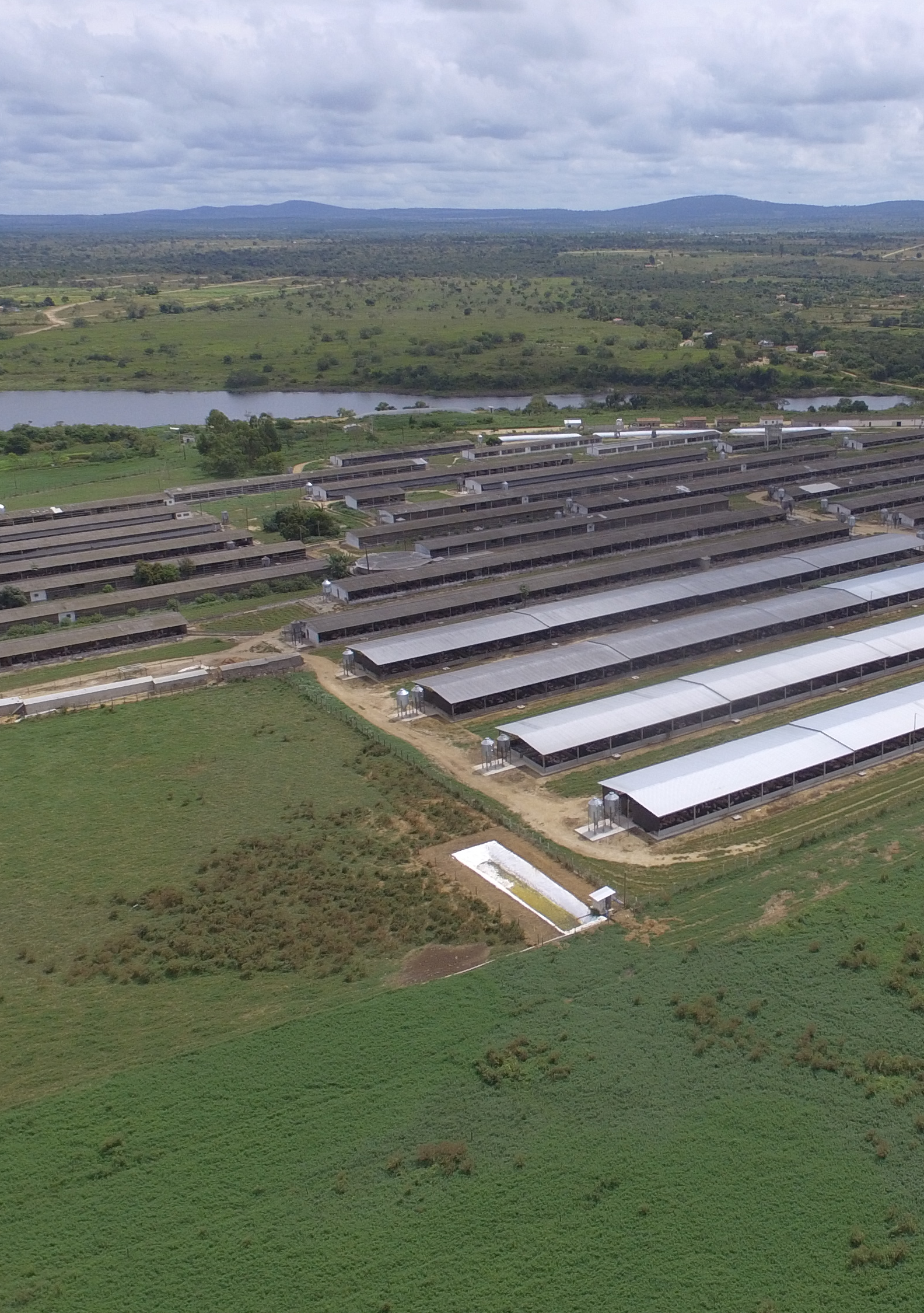 Vista aérea de uma grande fazenda solar em uma paisagem rural, perto de um corpo d'água e áreas florestais.