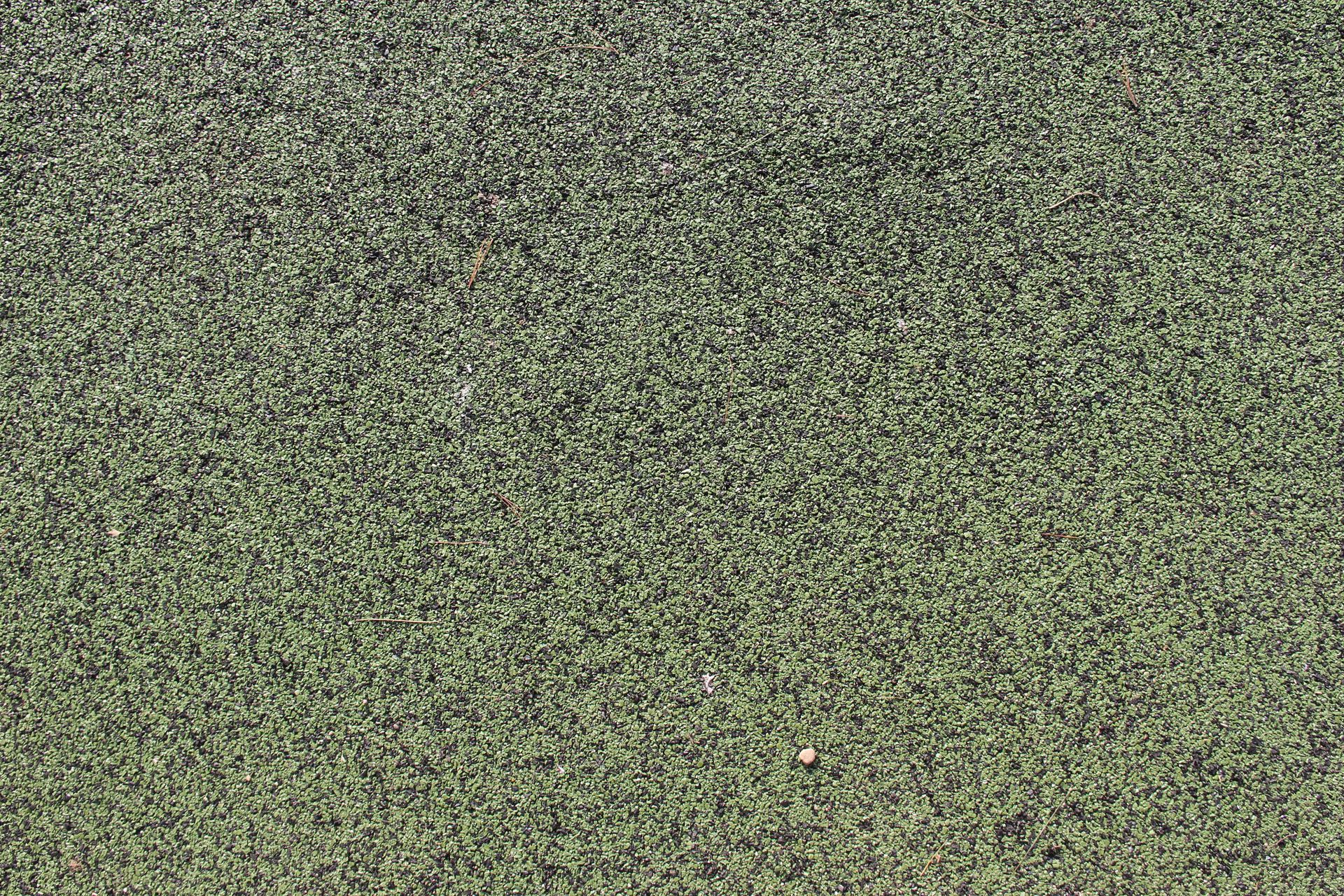 A close up of a green carpet texture.