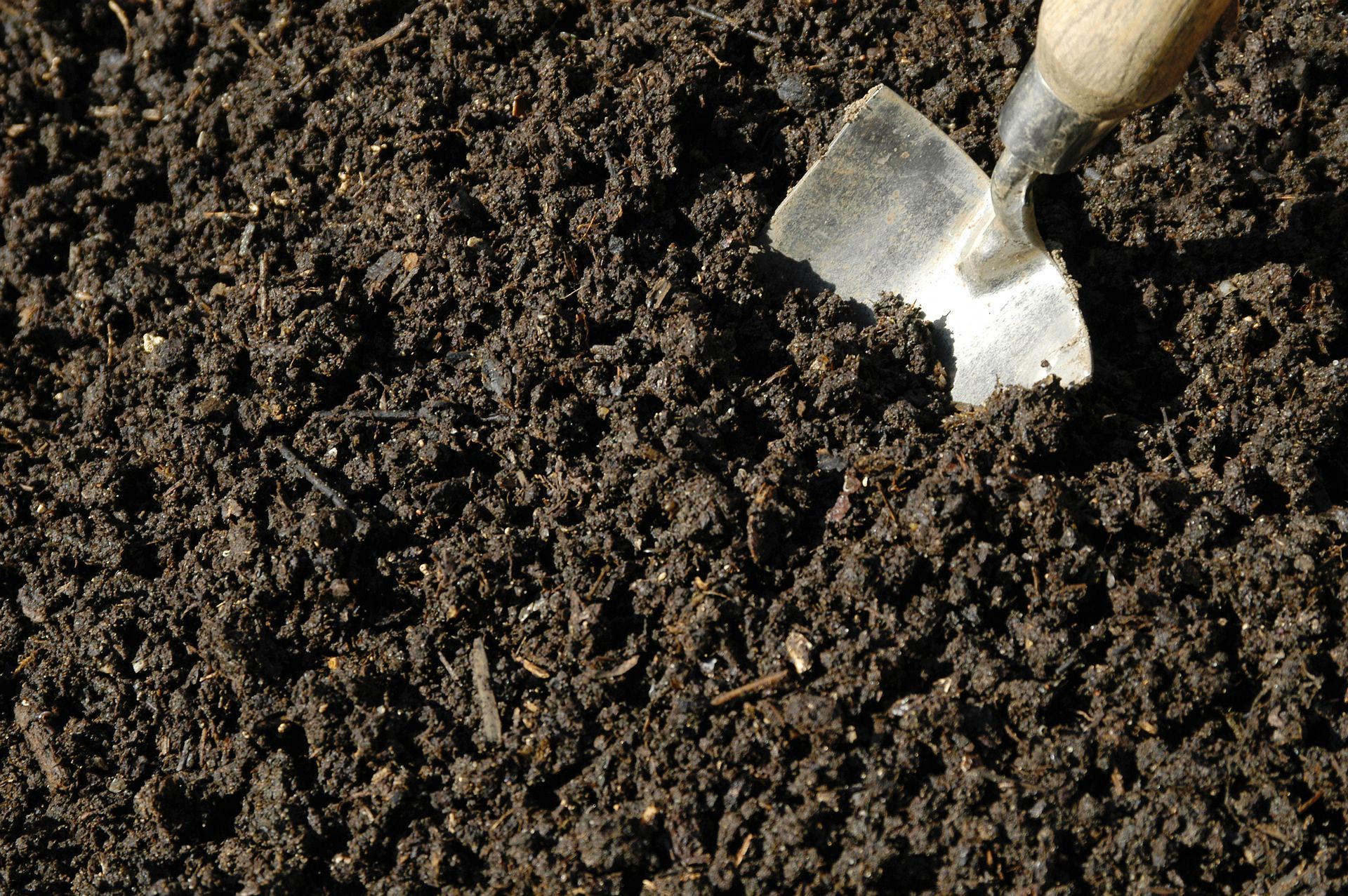 A shovel is sticking out of a pile of dirt
