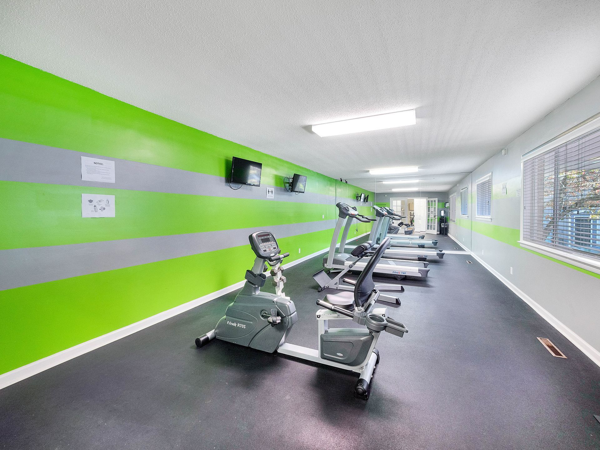A bright gym with green and grey horizontal stripes on the walls, featuring several exercise bikes and treadmills.