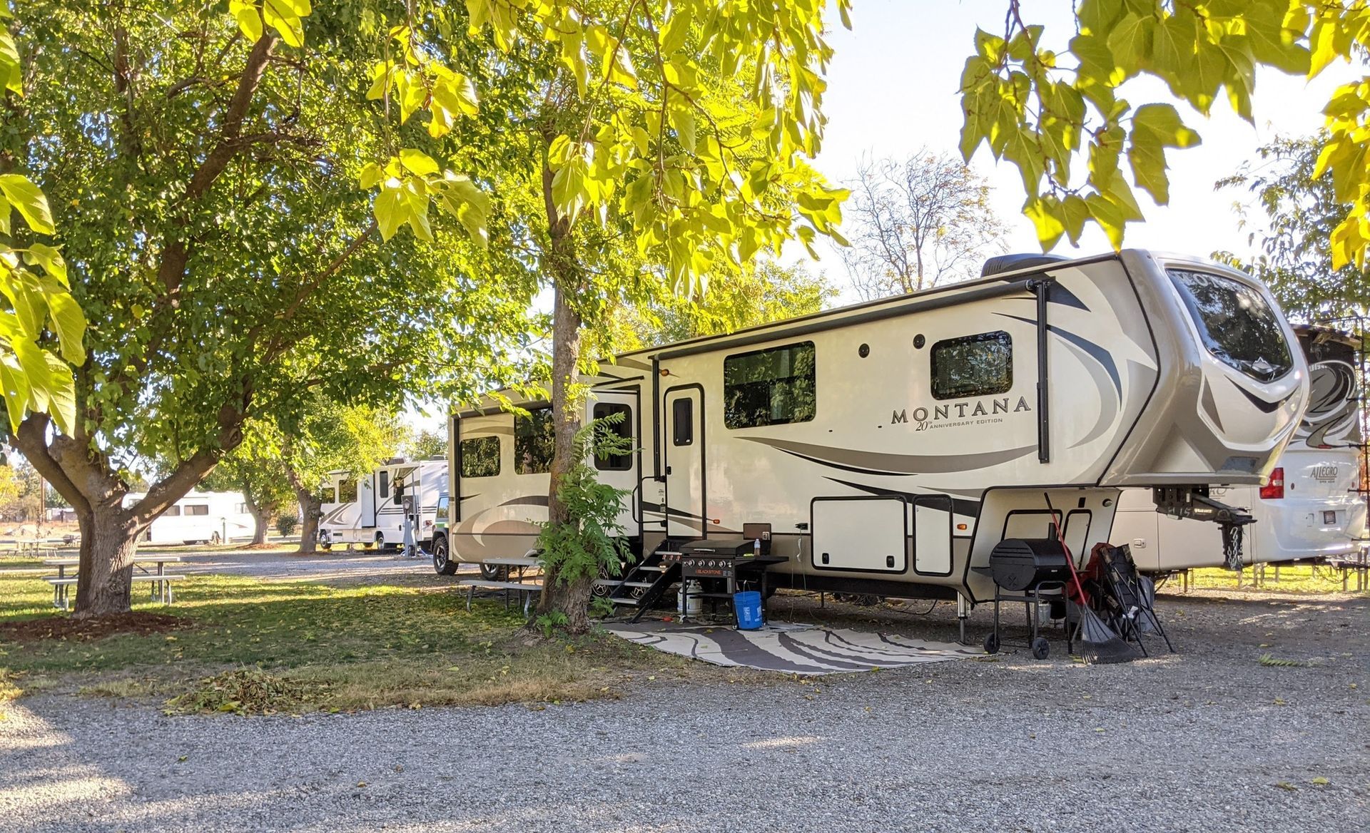 RV parked under a tree at a campsite, with other RVs and a grassy area.