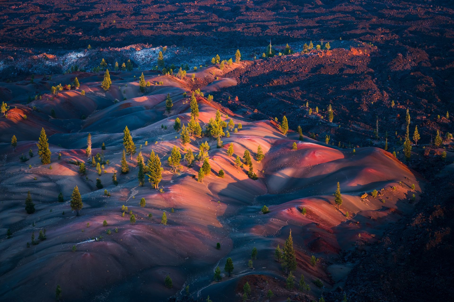 Volcanic landscape with sparse trees, illuminated by warm sunlight on reddish and black terrain.