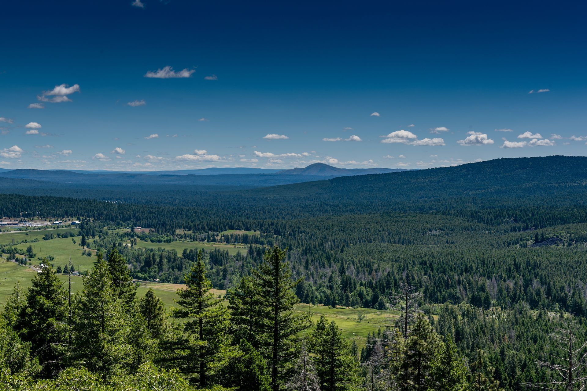 Vast forest landscape under a bright blue sky with scattered clouds.