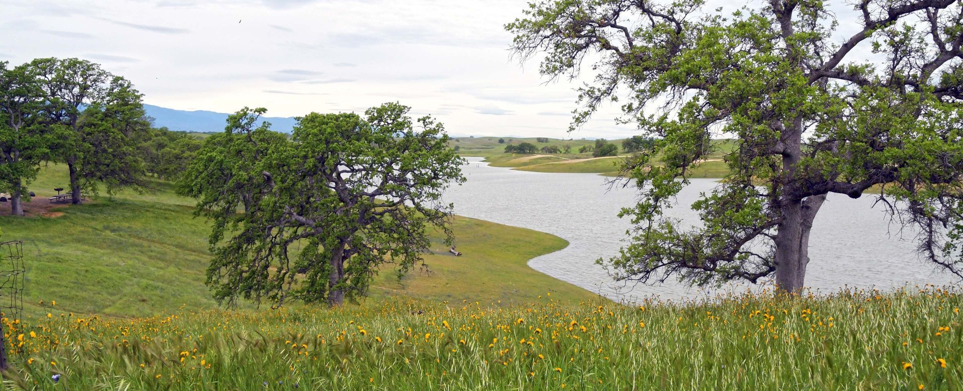 Lush green field with a lake and trees under a cloudy sky.