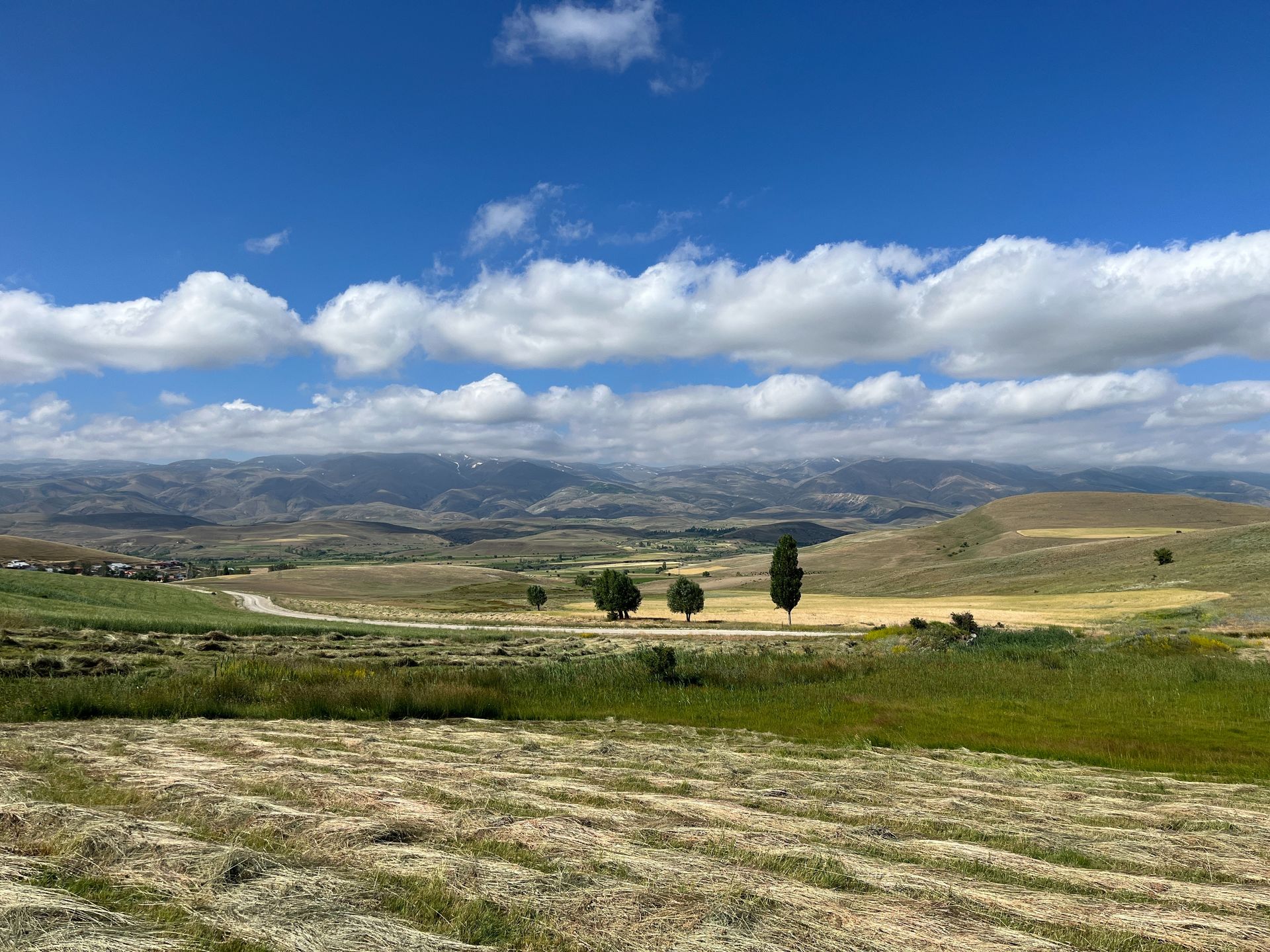 Rolling green hills under a partly cloudy blue sky; several trees dot the landscape.