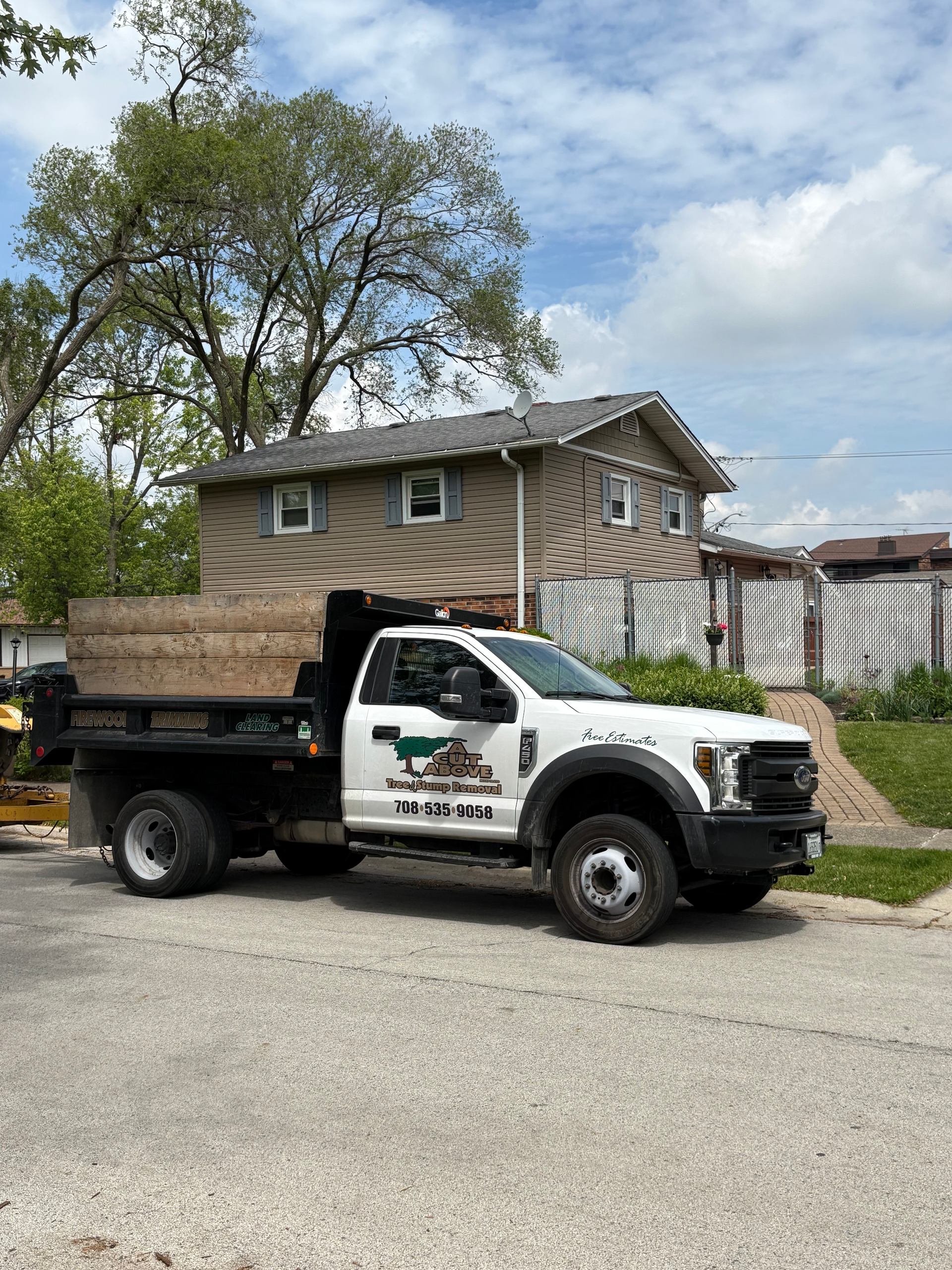 Tree services by certified arborist in Oak Forest, IL