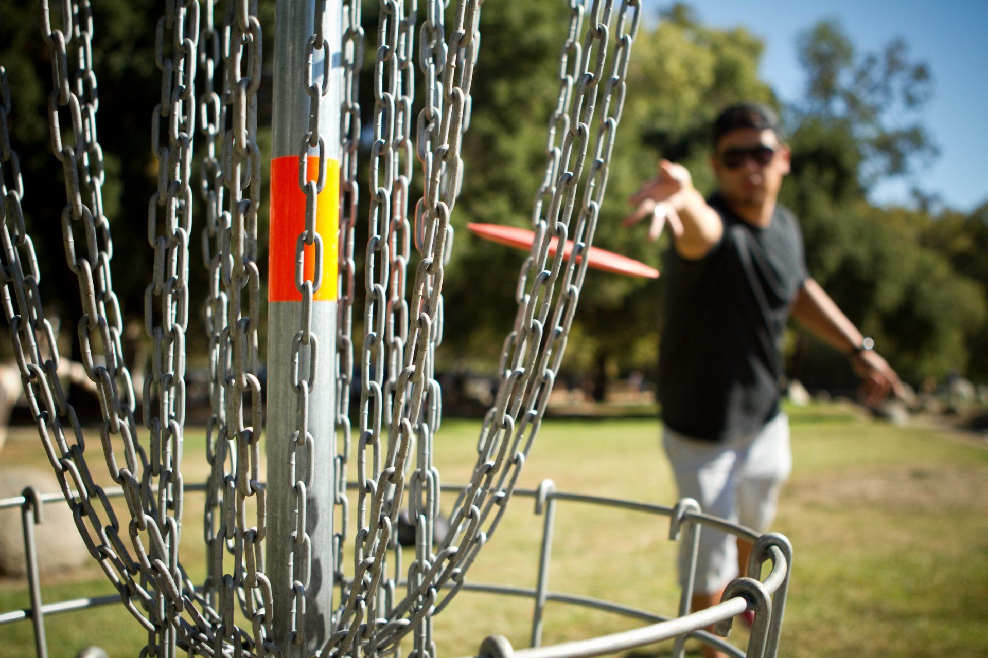 Missouri Disc Golf