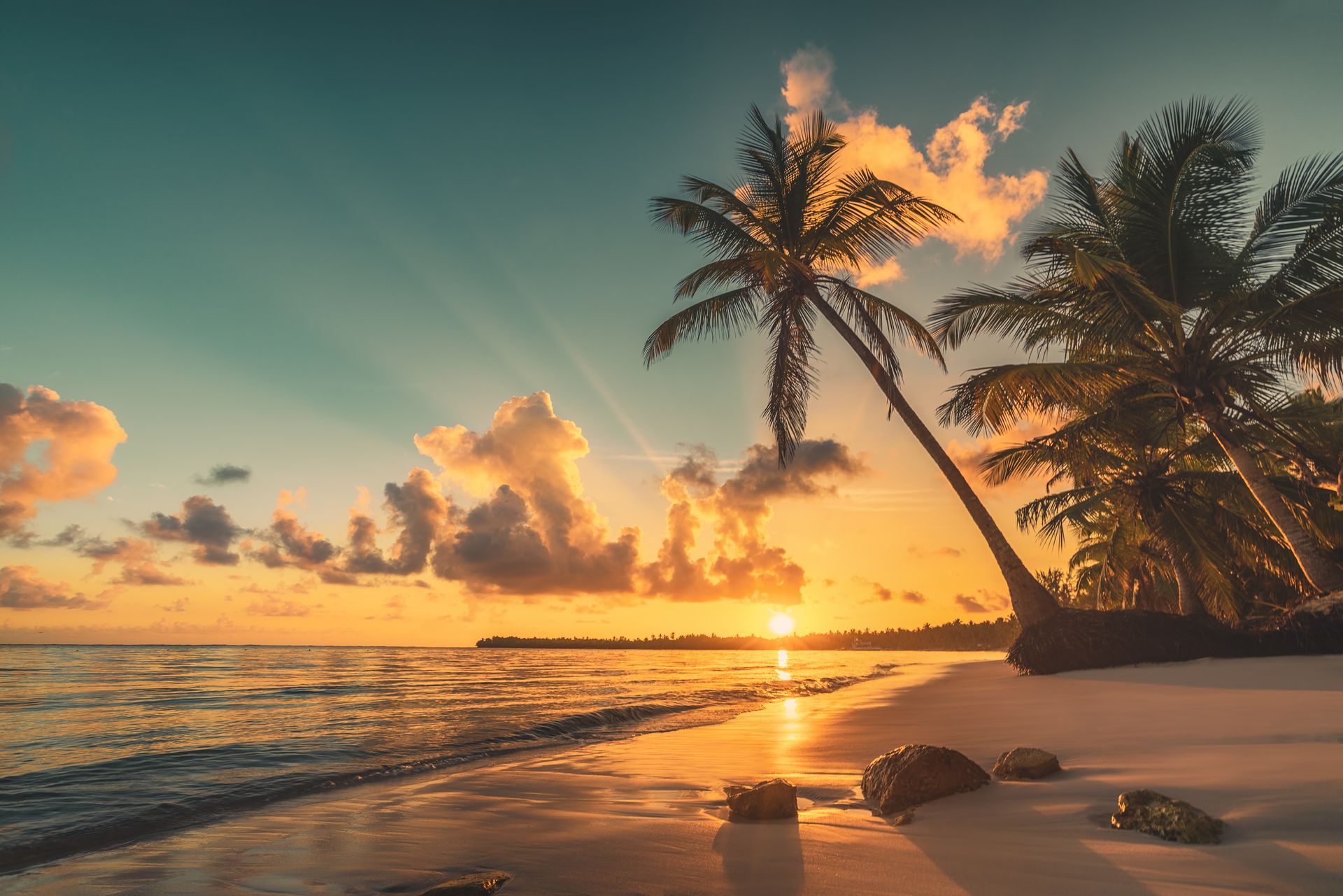 Sunset over a tropical beach with palm trees, calm waves, and glowing orange clouds.