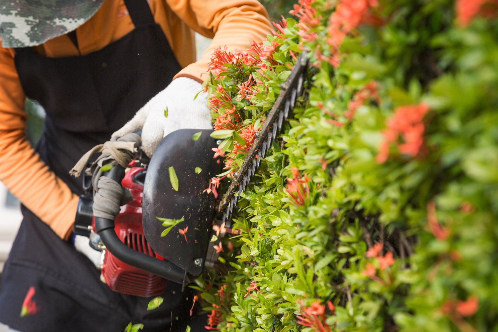 Man Trimming Garden Bush — Bristol, VA — Planters and Designers