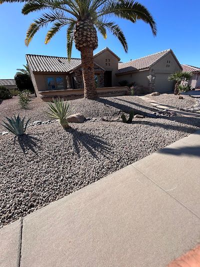 A house with a palm tree in front of it