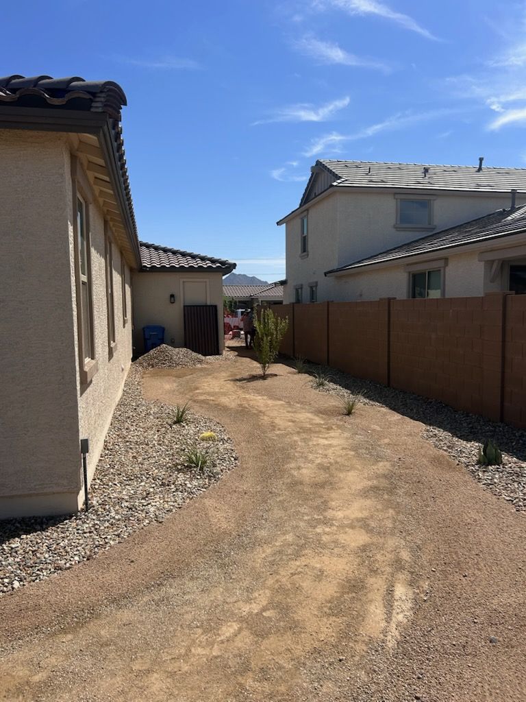 A house with a palm tree in front of it