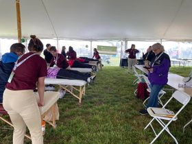 Event Massage- Call for times and pricing