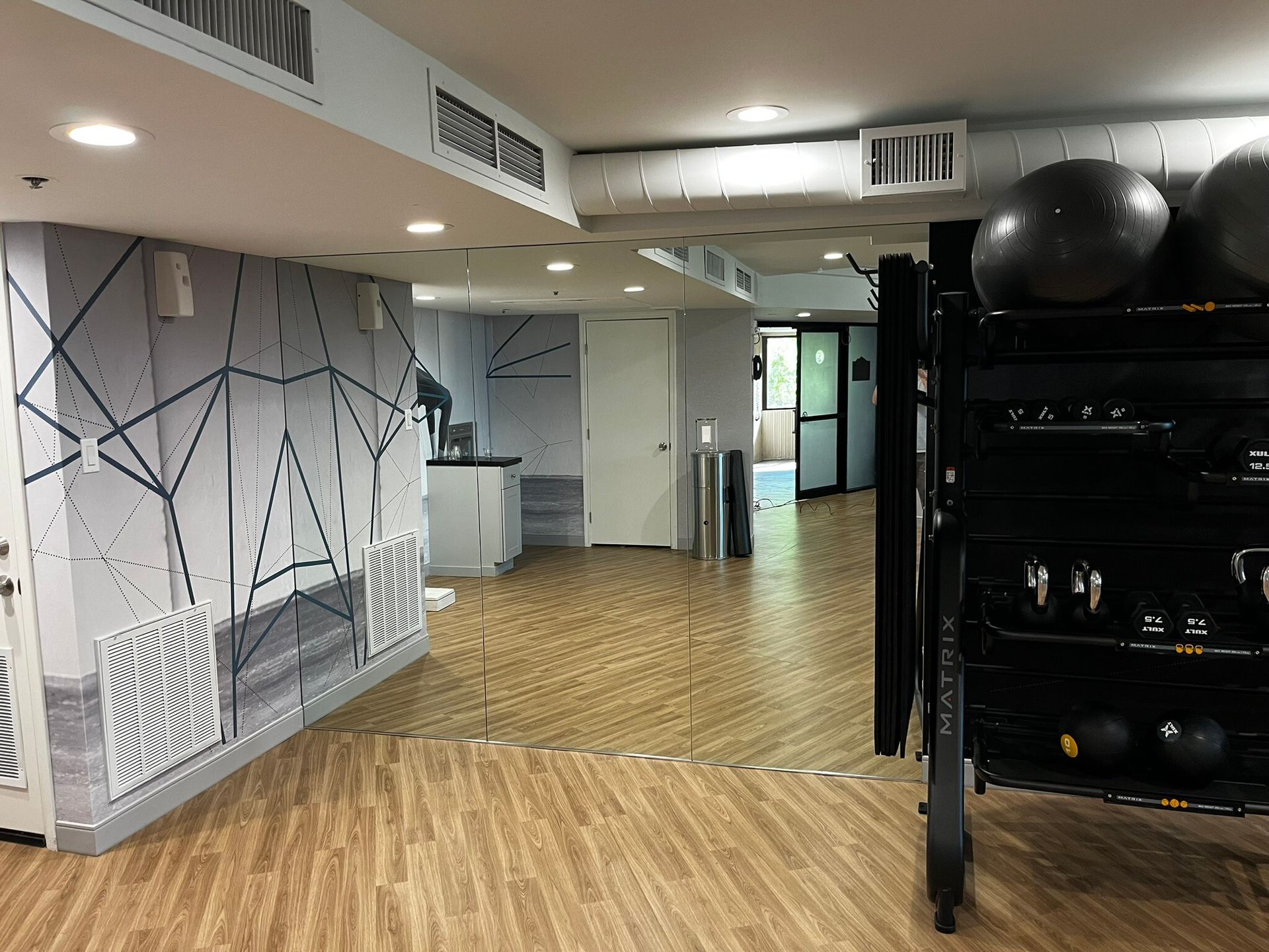 Modern gym interior with wood floors, mirrored wall, and black exercise equipment.