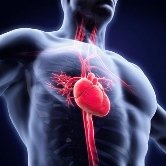 O que você precisa saber sobre TPSV (Taquicardia Paroxística Supraventricular)? O que você precisa saber sobre TPSV (Taquicardia Paroxística Supraventricular)?