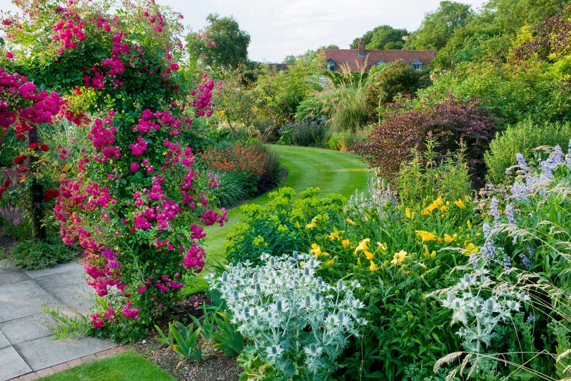 Ci sono molti tipi diversi di fiori nel giardino.