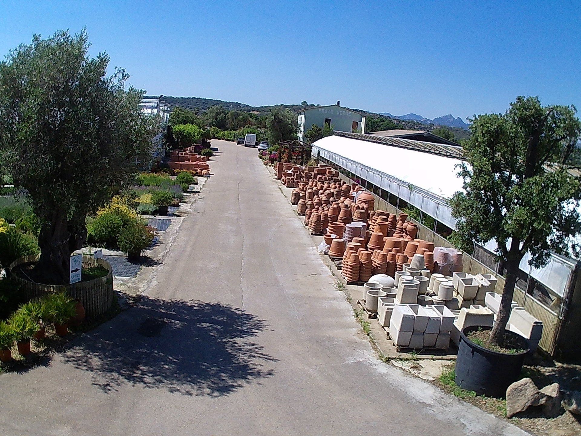 Una veduta aerea di un garden center con molte piante in vaso