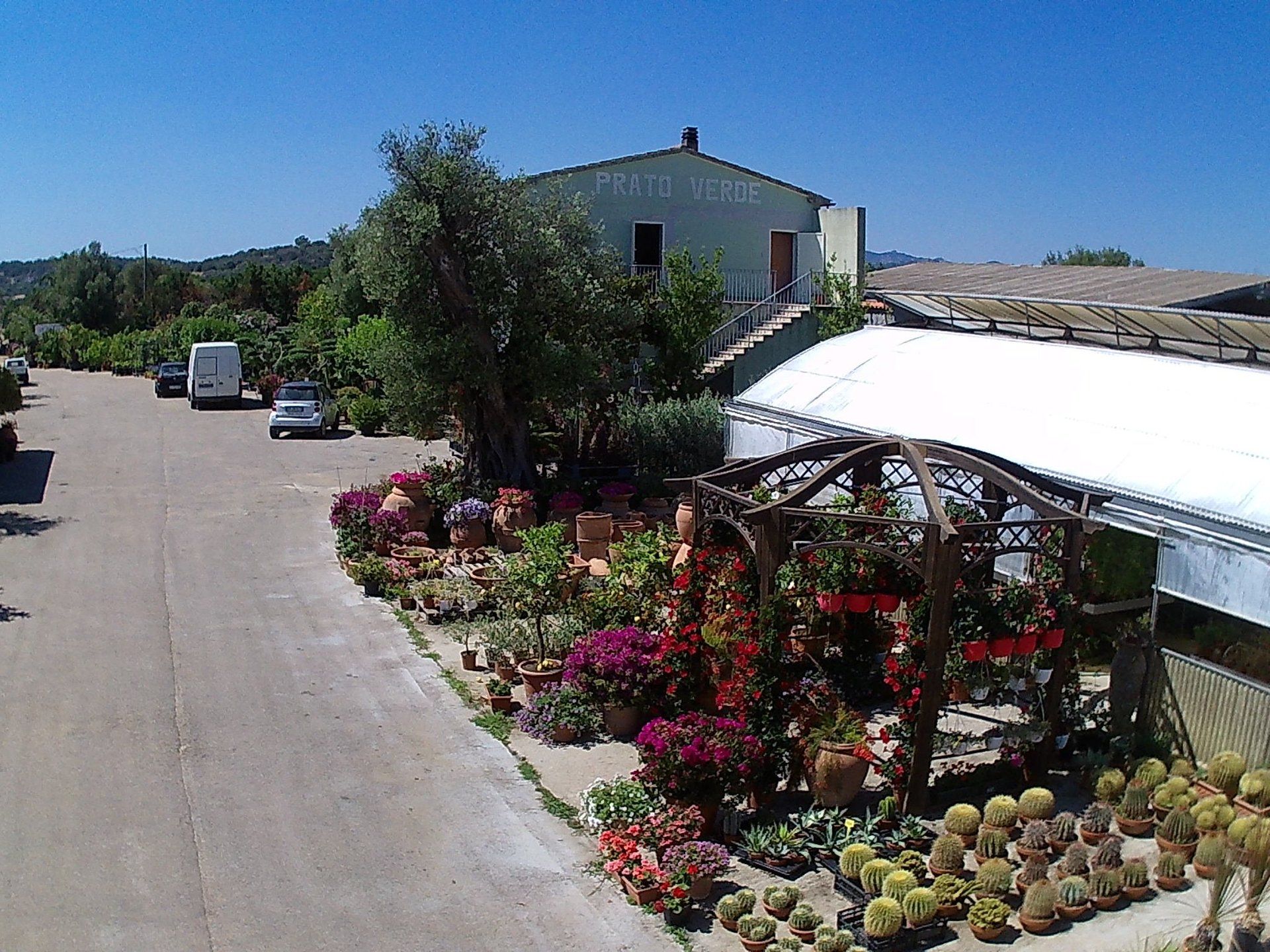 Una casa con il tetto bianco è circondata da fiori e alberi