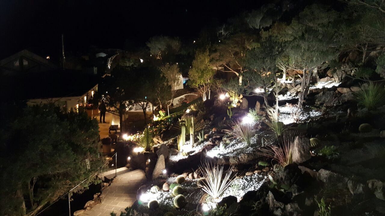 Eine Luftaufnahme eines Parks bei Nacht mit vielen Lichtern an den Bäumen.