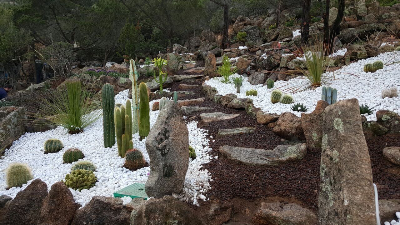 Ein Garten voller Steine, Kakteen und weißem Kies.