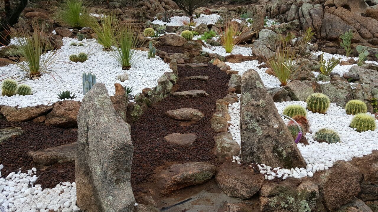 Ein Garten voller Steine, Kakteen und weißem Kies.