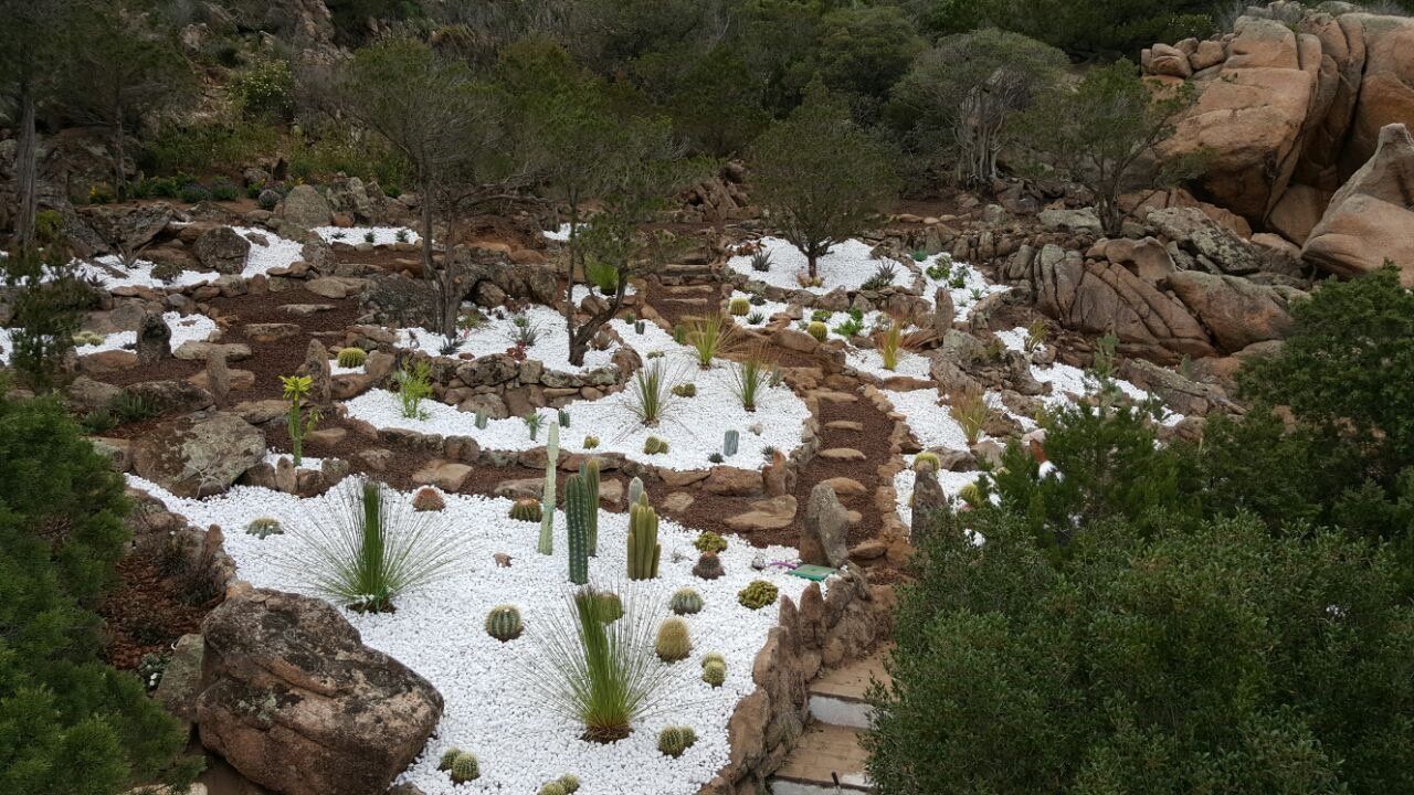 Ein Garten voller Kakteen und Steine