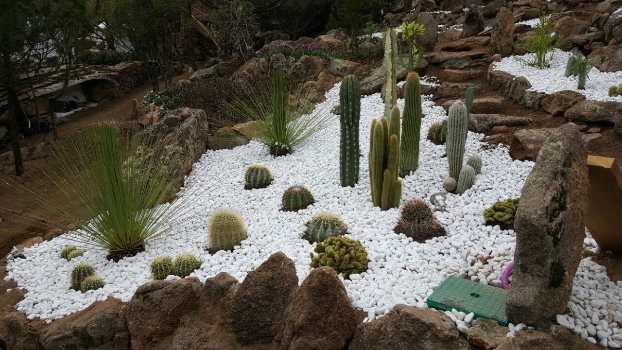 Ein Garten voller Kakteen und Steine