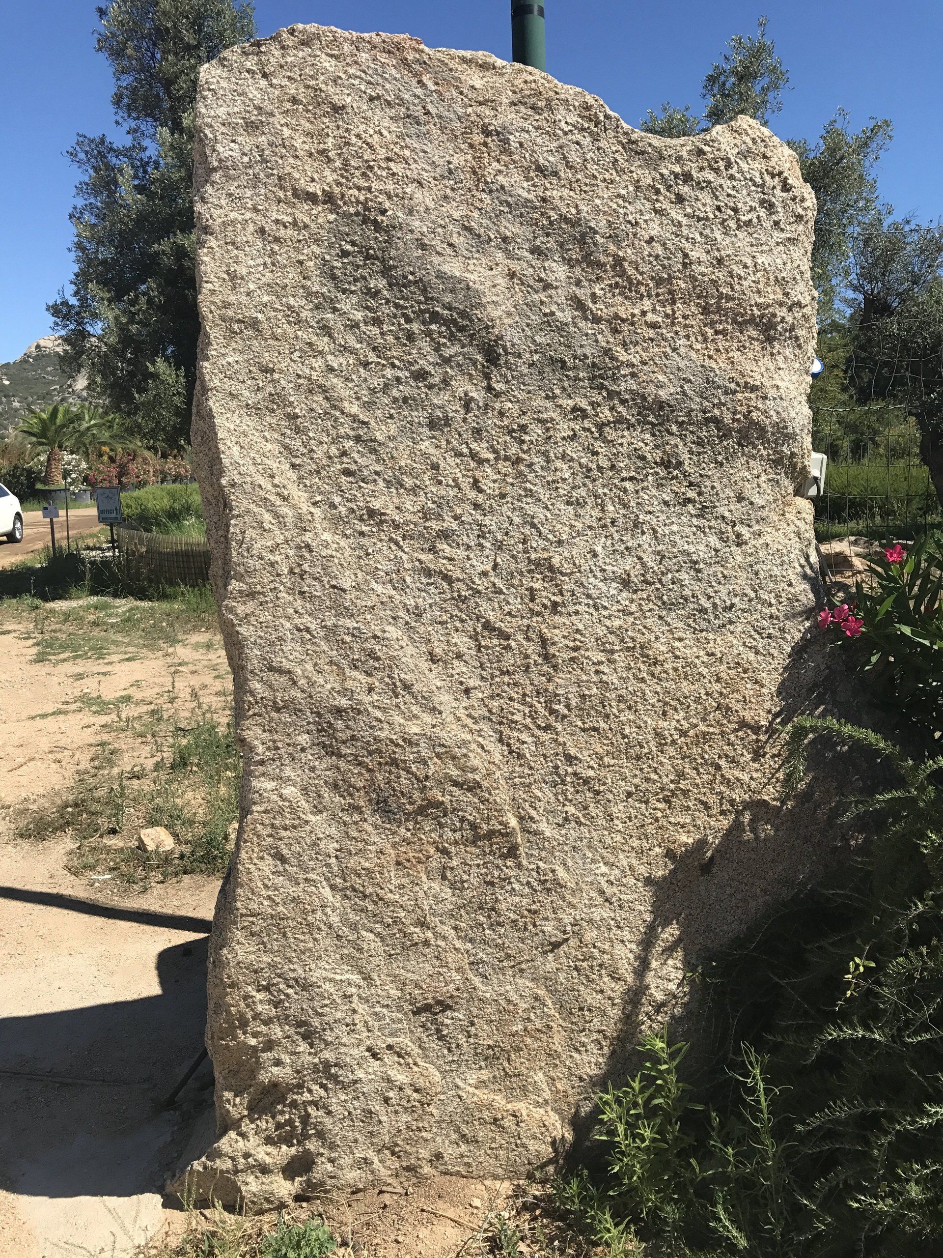 Ein großer Felsen in einem Feld mit Bäumen im Hintergrund