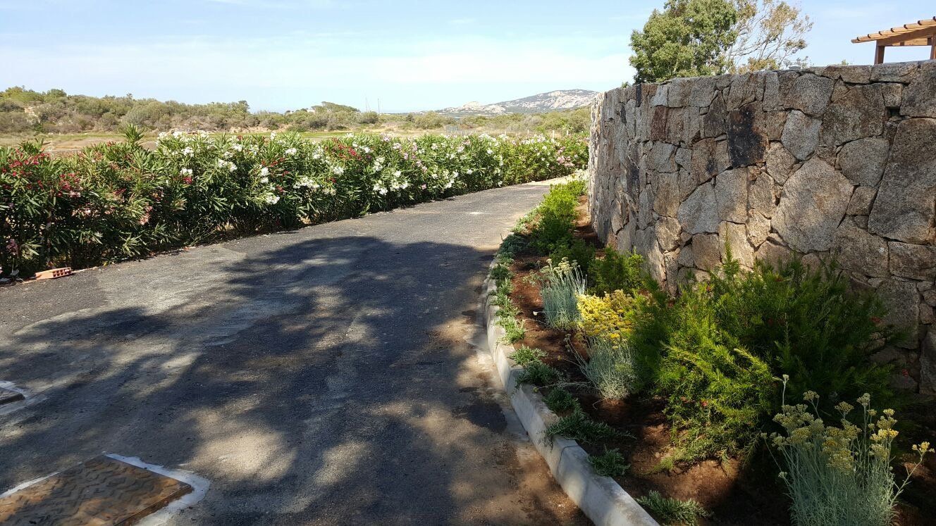 Un muro di pietra lungo il lato di una strada circondata da alberi e cespugli.