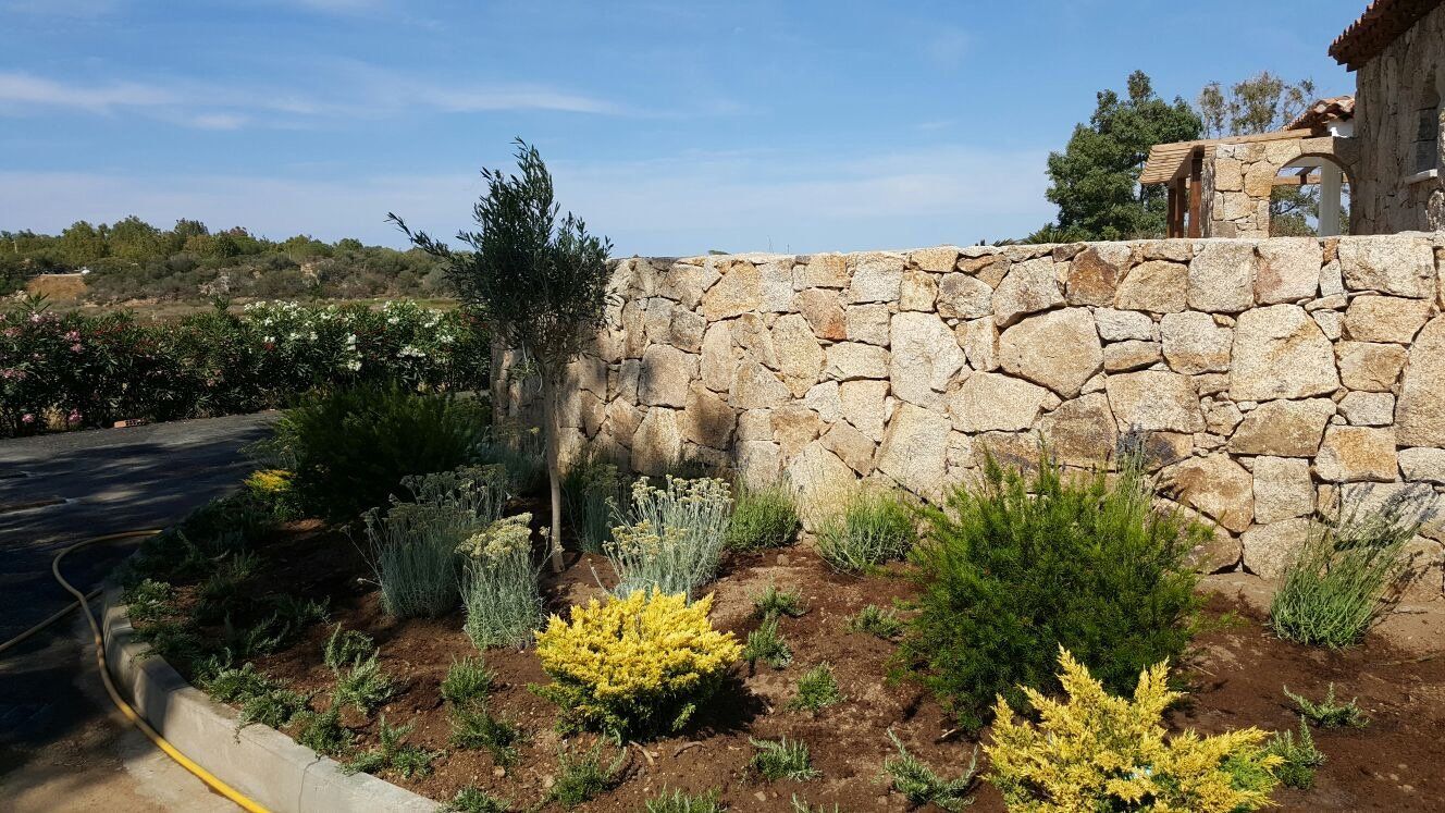 Un muro di pietra con molte piante davanti
