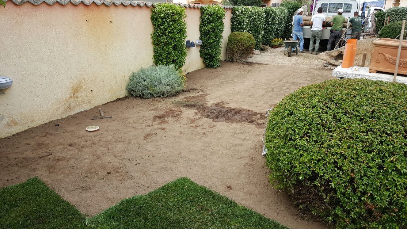 Un giardino con molta erba e cespugli e un muro sullo sfondo.