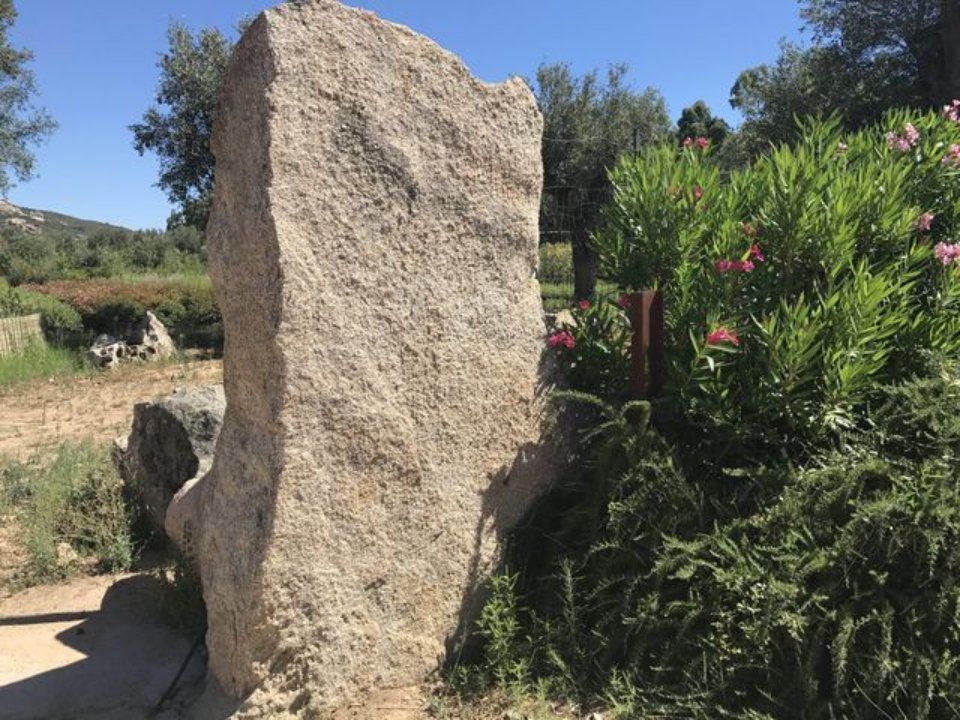Ein großer Felsen liegt inmitten eines von Blumen umgebenen Feldes.