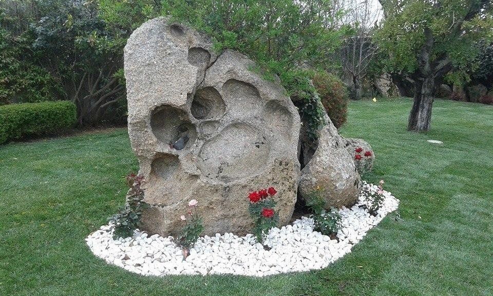 Ein großer Felsen liegt inmitten eines üppigen grünen Feldes.