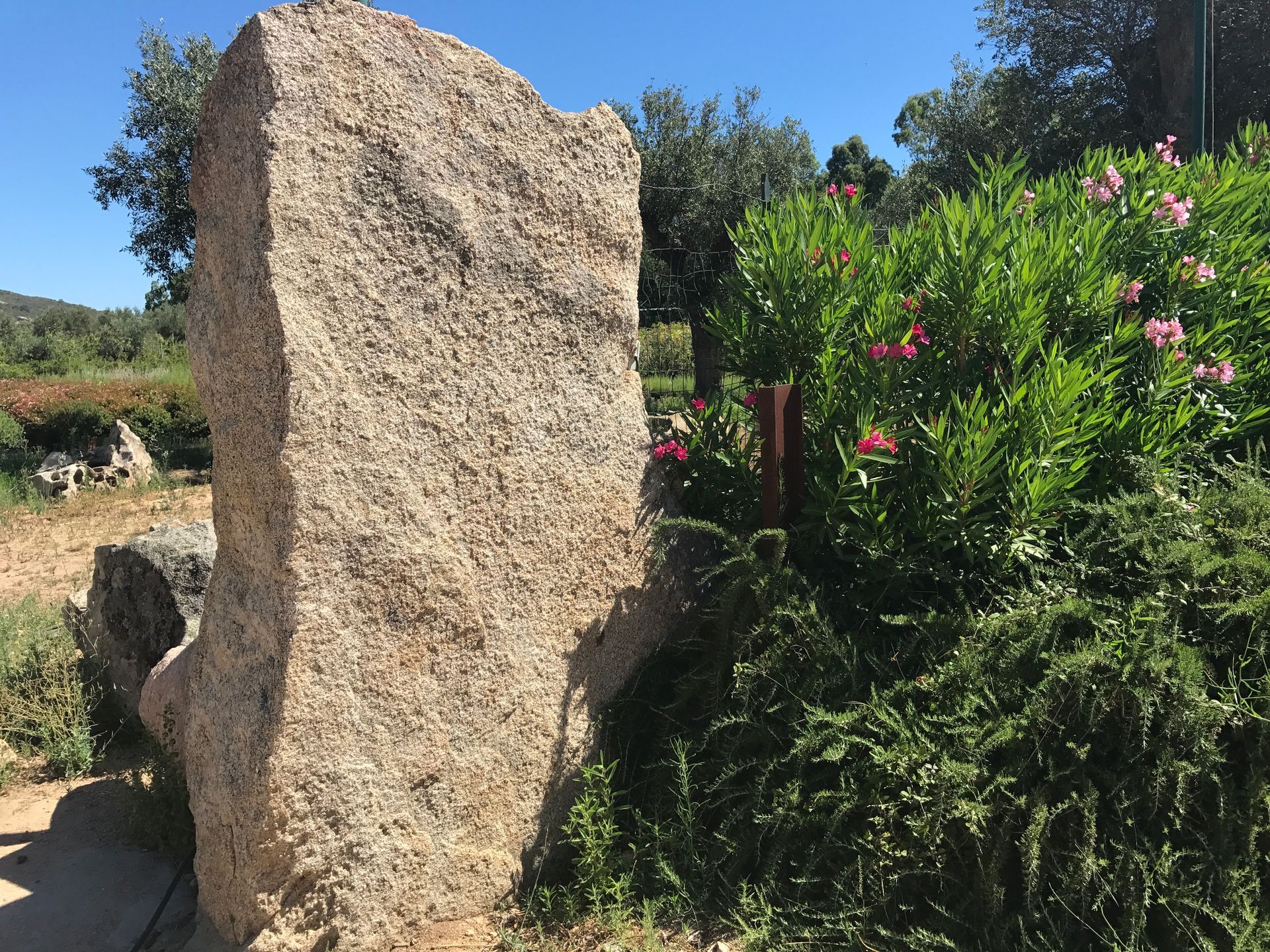 Ein großer Felsen ist von Blumen und Büschen umgeben